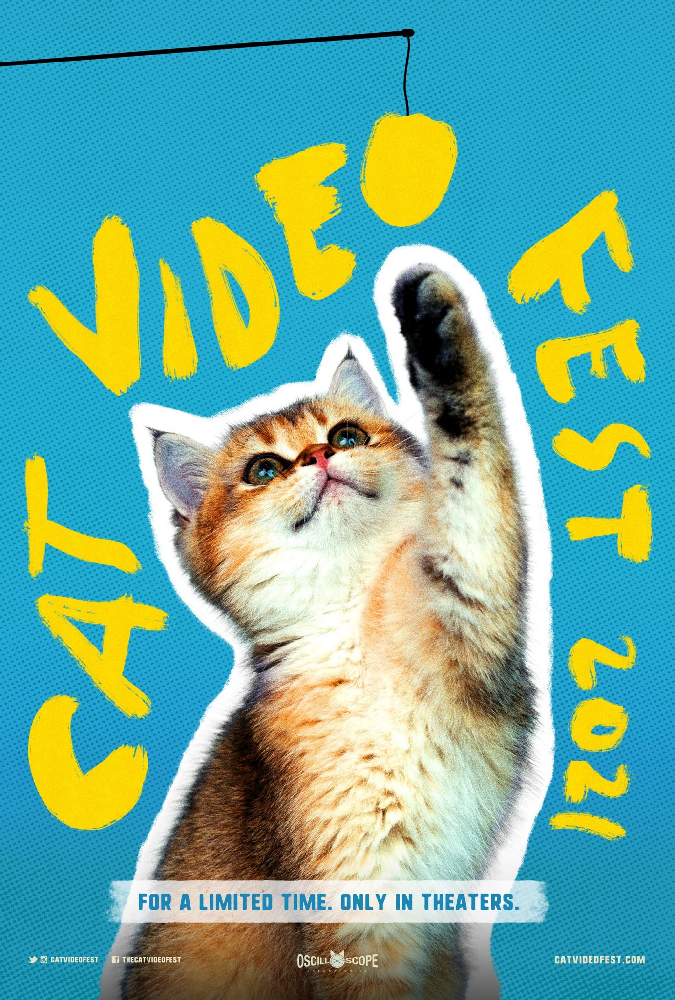 Cat Video Fest 2021