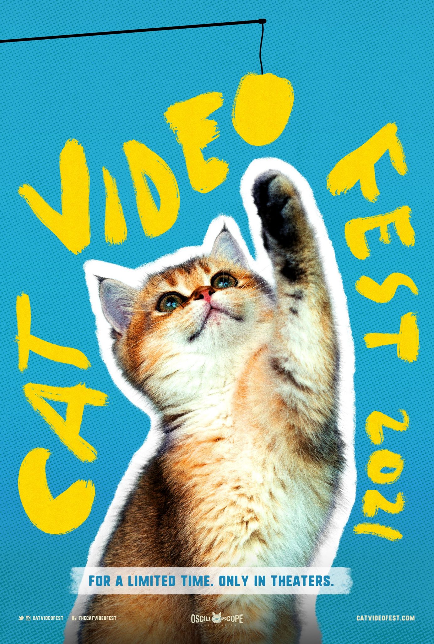 Cat Video Fest 2021